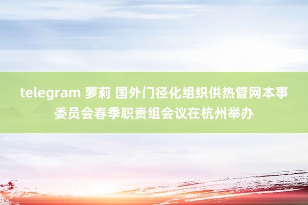 telegram 萝莉 国外门径化组织供热管网本事委员会春季职责组会议在杭州举办