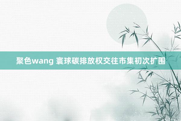 聚色wang 寰球碳排放权交往市集初次扩围