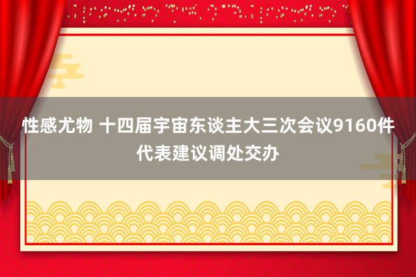 性感尤物 十四届宇宙东谈主大三次会议9160件代表建议调处交办