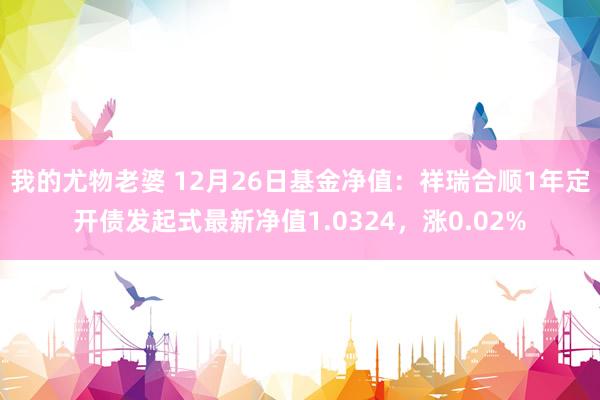 我的尤物老婆 12月26日基金净值：祥瑞合顺1年定开债发起式最新净值1.0324，涨0.02%