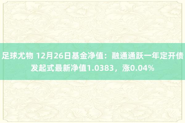 足球尤物 12月26日基金净值：融通通跃一年定开债发起式最新净值1.0383，涨0.04%