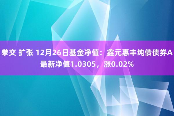 拳交 扩张 12月26日基金净值：鑫元惠丰纯债债券A最新净值1.0305，涨0.02%