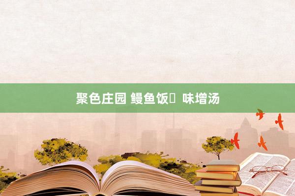 聚色庄园 鳗鱼饭➕味增汤