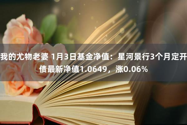 我的尤物老婆 1月3日基金净值：星河景行3个月定开债最新净值1.0649，涨0.06%