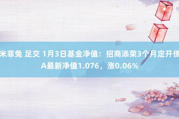 米菲兔 足交 1月3日基金净值：招商添荣3个月定开债A最新净值1.076，涨0.06%