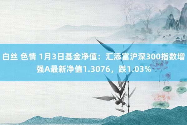 白丝 色情 1月3日基金净值：汇添富沪深300指数增强A最新净值1.3076，跌1.03%