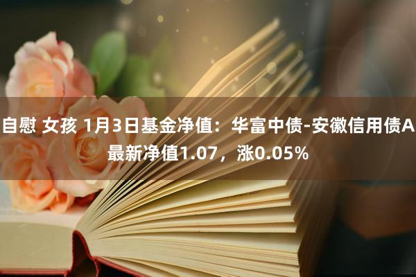 自慰 女孩 1月3日基金净值：华富中债-安徽信用债A最新净值1.07，涨0.05%