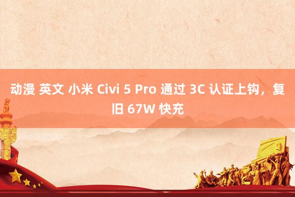 动漫 英文 小米 Civi 5 Pro 通过 3C 认证上钩，复旧 67W 快充