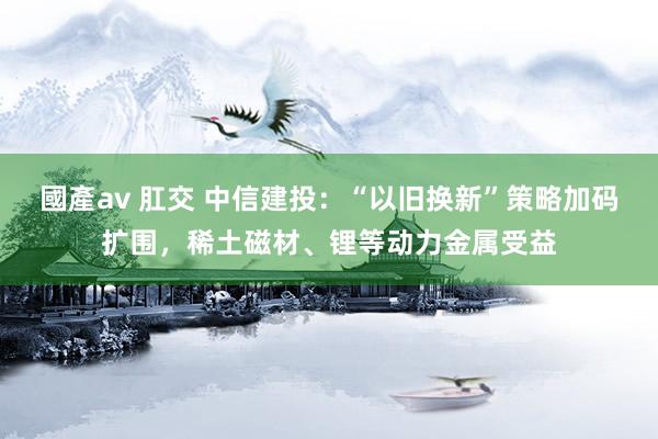 國產av 肛交 中信建投：“以旧换新”策略加码扩围，稀土磁材、锂等动力金属受益