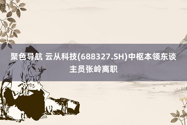 聚色导航 云从科技(688327.SH)中枢本领东谈主员张岭离职