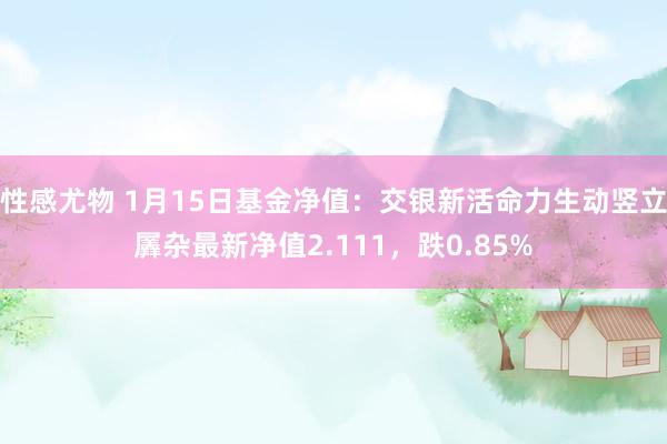 性感尤物 1月15日基金净值：交银新活命力生动竖立羼杂最新净值2.111，跌0.85%
