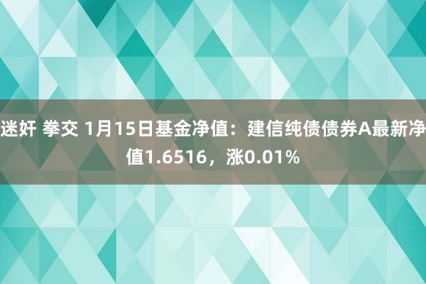 迷奸 拳交 1月15日基金净值：建信纯债债券A最新净值1.6516，涨0.01%