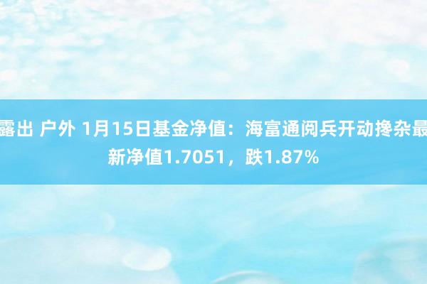 露出 户外 1月15日基金净值：海富通阅兵开动搀杂最新净值1.7051，跌1.87%
