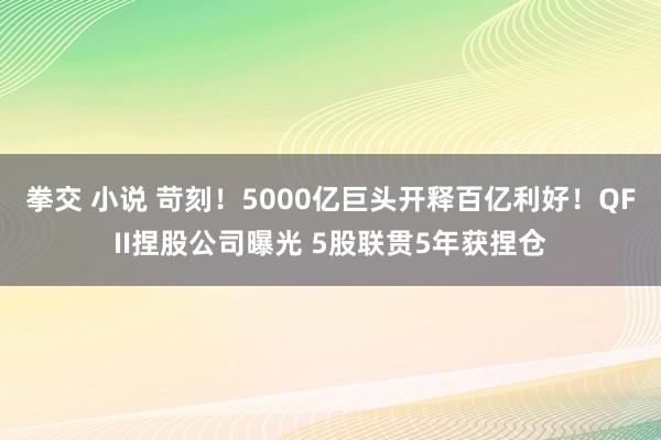 拳交 小说 苛刻！5000亿巨头开释百亿利好！QFII捏股公司曝光 5股联贯5年获捏仓