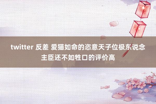 twitter 反差 爱猫如命的恣意天子位极东说念主臣还不如牲口的评价高