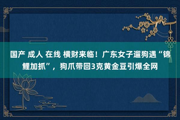 国产 成人 在线 横财来临！广东女子遛狗遇“锦鲤加抓”，狗爪带回3克黄金豆引爆全网
