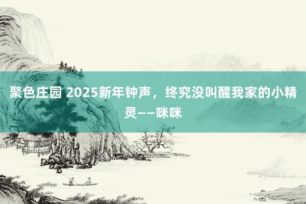 聚色庄园 2025新年钟声，终究没叫醒我家的小精灵——咪咪