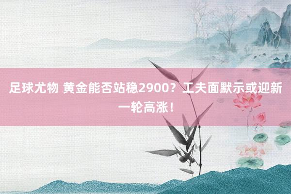足球尤物 黄金能否站稳2900？工夫面默示或迎新一轮高涨！