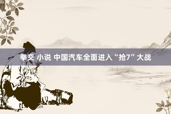 拳交 小说 中国汽车全面进入“抢7”大战