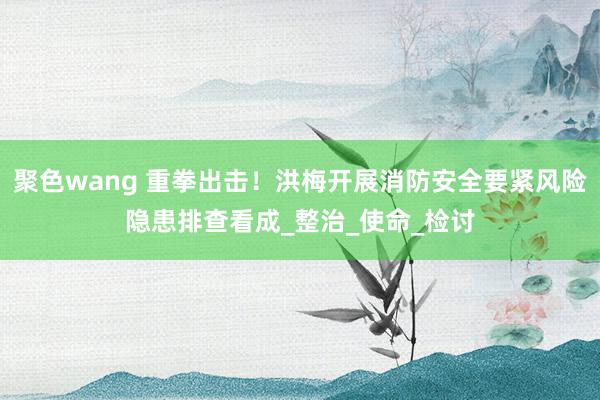 聚色wang 重拳出击！洪梅开展消防安全要紧风险隐患排查看成_整治_使命_检讨
