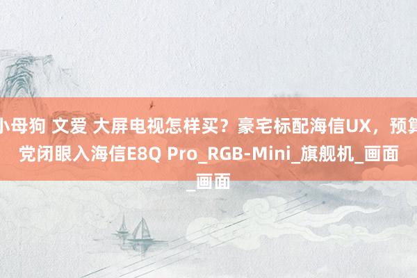 小母狗 文爱 大屏电视怎样买？豪宅标配海信UX，预算党闭眼入海信E8Q Pro_RGB-Mini_旗舰机_画面