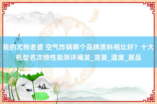 我的尤物老婆 空气炸锅哪个品牌质料相比好？十大机型名次榜性能测评阐发_宫菱_温度_居品