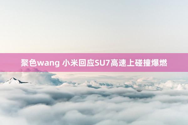 聚色wang 小米回应SU7高速上碰撞爆燃
