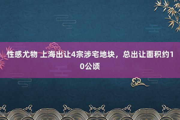 性感尤物 上海出让4宗涉宅地块，总出让面积约10公顷