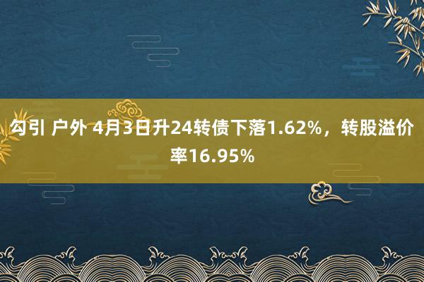 勾引 户外 4月3日升24转债下落1.62%，转股溢价率16.95%