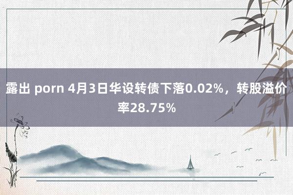 露出 porn 4月3日华设转债下落0.02%，转股溢价率28.75%