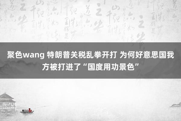 聚色wang 特朗普关税乱拳开打 为何好意思国我方被打进了“国度用功景色”