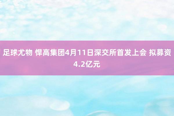 足球尤物 悍高集团4月11日深交所首发上会 拟募资4.2亿元