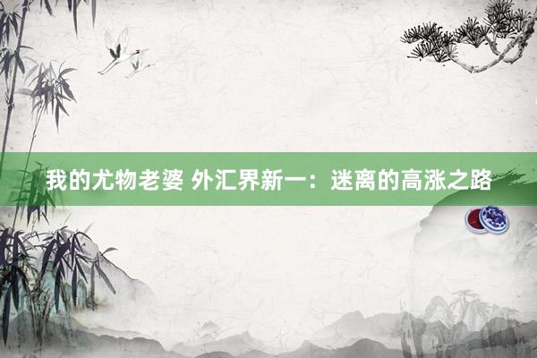 我的尤物老婆 外汇界新一：迷离的高涨之路