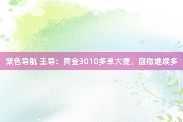 聚色导航 王导：黄金3010多单大捷，回撤继续多