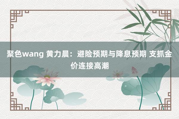 聚色wang 黄力晨：避险预期与降息预期 支抓金价连接高潮