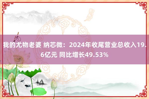 我的尤物老婆 纳芯微：2024年收尾营业总收入19.6亿元 同比增长49.53%