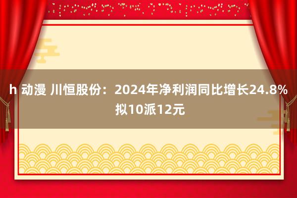 h 动漫 川恒股份：2024年净利润同比增长24.8% 拟10派12元