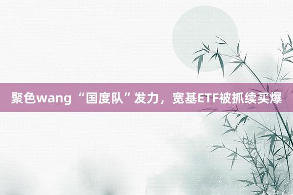聚色wang “国度队”发力，宽基ETF被抓续买爆