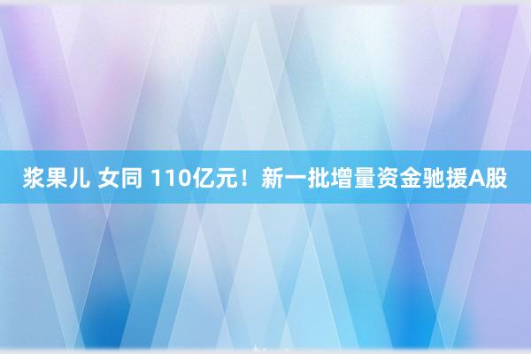 浆果儿 女同 110亿元！新一批增量资金驰援A股