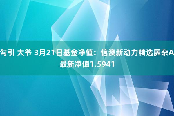 勾引 大爷 3月21日基金净值：信澳新动力精选羼杂A最新净值1.5941