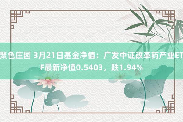 聚色庄园 3月21日基金净值：广发中证改革药产业ETF最新净值0.5403，跌1.94%