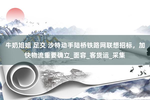 牛奶姐姐 足交 沙特动手陆桥铁路网联想招标，加快物流重要确立_面容_客货运_采集
