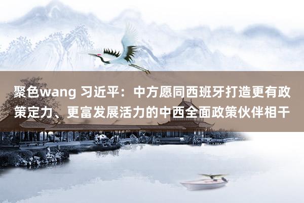 聚色wang 习近平：中方愿同西班牙打造更有政策定力、更富发展活力的中西全面政策伙伴相干