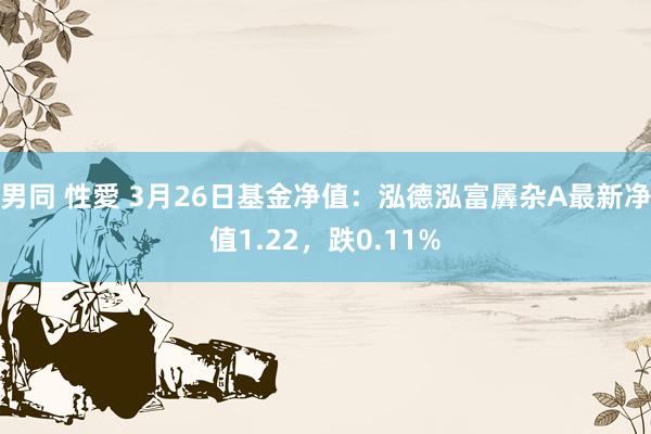 男同 性愛 3月26日基金净值：泓德泓富羼杂A最新净值1.22，跌0.11%