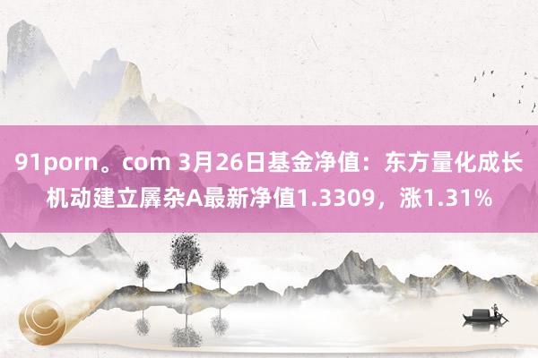 91porn。com 3月26日基金净值：东方量化成长机动建立羼杂A最新净值1.3309，涨1.31%