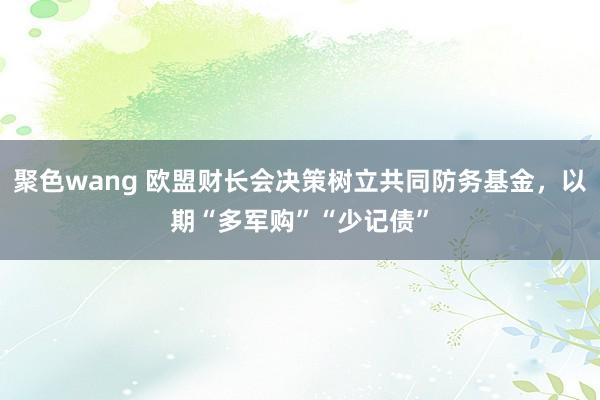 聚色wang 欧盟财长会决策树立共同防务基金，以期“多军购”“少记债”