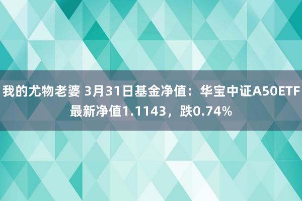 我的尤物老婆 3月31日基金净值：华宝中证A50ETF最新净值1.1143，跌0.74%