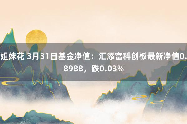 姐妹花 3月31日基金净值：汇添富科创板最新净值0.8988，跌0.03%