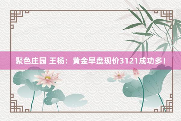 聚色庄园 王杨：黄金早盘现价3121成功多！