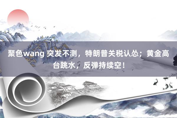聚色wang 突发不测，特朗普关税认怂；黄金高台跳水，反弹持续空！